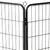 Prolenta Premium - Kennel Baldwin Park Prolenta Premium - Kennel Baldwin Park