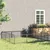 Prolenta Premium - Kennel Zepp