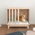 Prolenta Premium - Kennel Rivoli Prolenta Premium - Kennel Rivoli