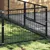 Prolenta Premium - Kennel Zepp
