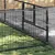 Prolenta Premium - Kennel Zepp