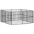 Prolenta Premium - Kennel Gunnlaug Prolenta Premium - Kennel Gunnlaug