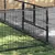 Prolenta Premium - Kennel Zepp Prolenta Premium - Kennel Zepp