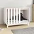Prolenta Premium - Kennel Rivoli