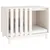 Prolenta Premium - Kennel Rivoli