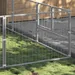 Prolenta Premium - Kennel Zepp