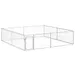 Prolenta Premium - Kennel Rainer