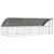 Prolenta Premium - Kennel Prolenta Premium - Kennel