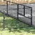 Prolenta Premium - Kennel Zepp Prolenta Premium - Kennel Zepp