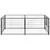 Prolenta Premium - Kennel Thieu Prolenta Premium - Kennel Thieu