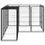 Prolenta Premium - Kennel Orville Alan Prolenta Premium - Kennel Orville Alan