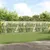Prolenta Premium - Kennel Prolenta Premium - Kennel