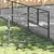 Prolenta Premium - Kennel Zepp