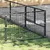 Prolenta Premium - Kennel Zepp