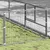 Prolenta Premium - Kennel Zepp
