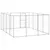 Prolenta Premium - Kennel Myrlen Prolenta Premium - Kennel Myrlen