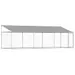 Prolenta Premium - Kennel Norimar