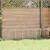 Prolenta Premium - Kennel Thieu Prolenta Premium - Kennel Thieu