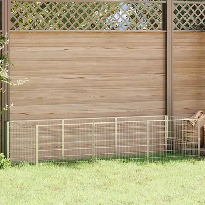 Prolenta Premium - Kennel Thieu Prolenta Premium - Kennel Thieu