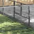 Prolenta Premium - Kennel Zepp Prolenta Premium - Kennel Zepp