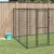 Prolenta Premium - Kennel Ica