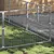 Prolenta Premium - Kennel Zepp