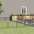 Prolenta Premium - Kennel Zepp