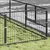 Prolenta Premium - Kennel Zepp