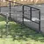Prolenta Premium - Kennel Zepp