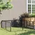 Prolenta Premium - Kennel Zepp Prolenta Premium - Kennel Zepp