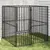 Prolenta Premium - Kennel Valeria Luz Prolenta Premium - Kennel Valeria Luz