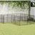 Prolenta Premium - Kennel Valeria Luz