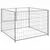 Prolenta Premium - Kennel Thieu