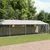 Prolenta Premium - Kennel Norimar