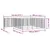 Prolenta Premium - Kennel Orville Alan