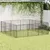 Prolenta Premium - Kennel Gunnlaug Prolenta Premium - Kennel Gunnlaug
