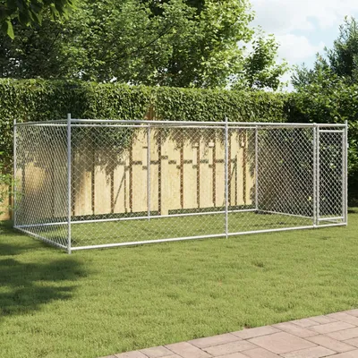 Prolenta Premium - Kennel Goedereede