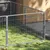 Prolenta Premium - Kennel Zepp Prolenta Premium - Kennel Zepp