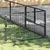 Prolenta Premium - Kennel Zepp Prolenta Premium - Kennel Zepp