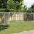 Prolenta Premium - Kennel Goedereede
