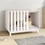 Prolenta Premium - Kennel Rivoli