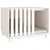 Prolenta Premium - Kennel Rivoli