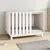 Prolenta Premium - Kennel Rivoli