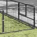 Prolenta Premium - Kennel Zepp