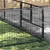 Prolenta Premium - Kennel Zepp Prolenta Premium - Kennel Zepp