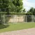 Prolenta Premium - Kennel Goedereede