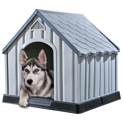 Prolenta Premium - Kennel Prolenta Premium - Kennel