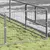 Prolenta Premium - Kennel Zepp Prolenta Premium - Kennel Zepp