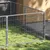 Prolenta Premium - Kennel Zepp