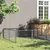 Prolenta Premium - Kennel Zepp